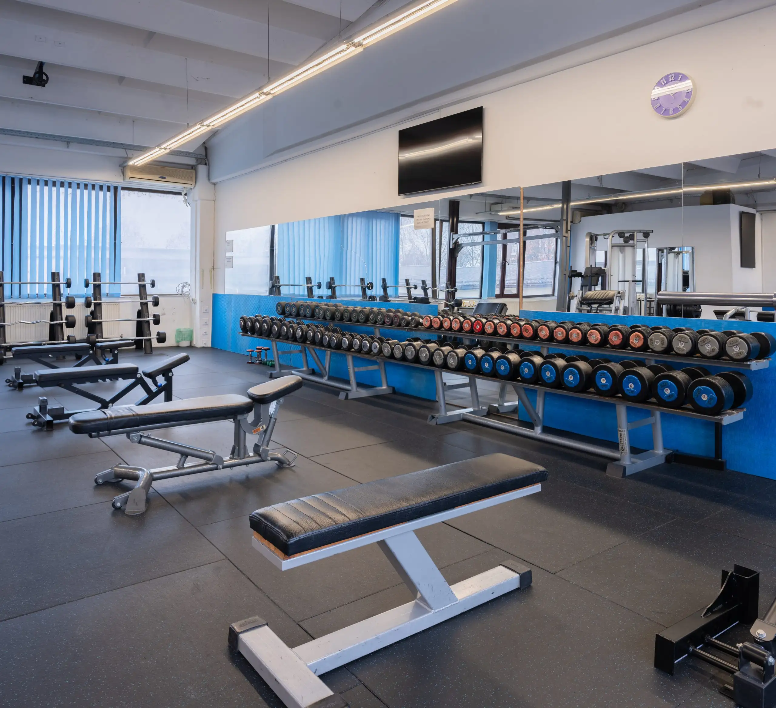 Bench press klupa Viva Sport teretana