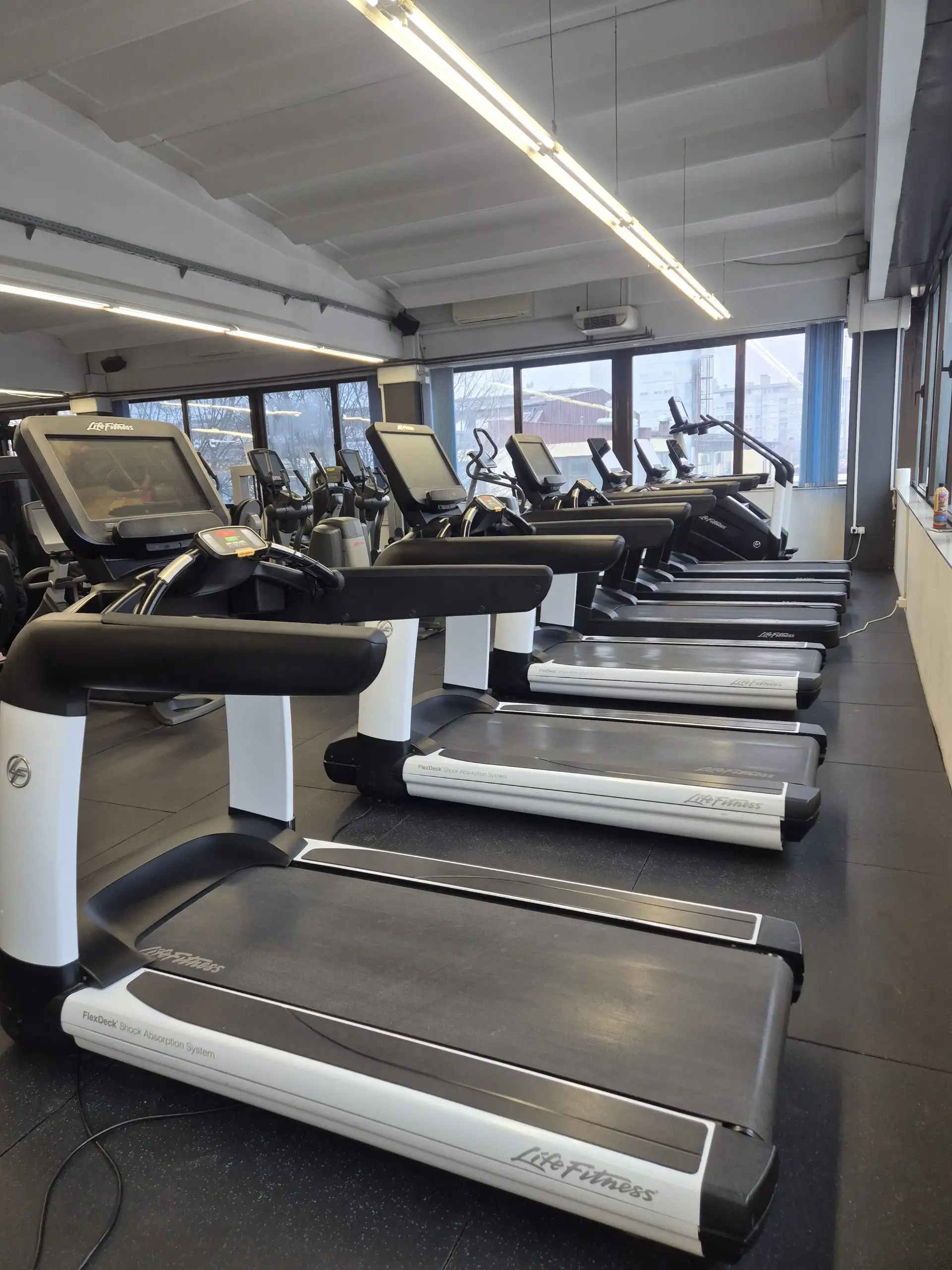 Kardio zona u Viva Fitnessu s pogledom na Dubravu