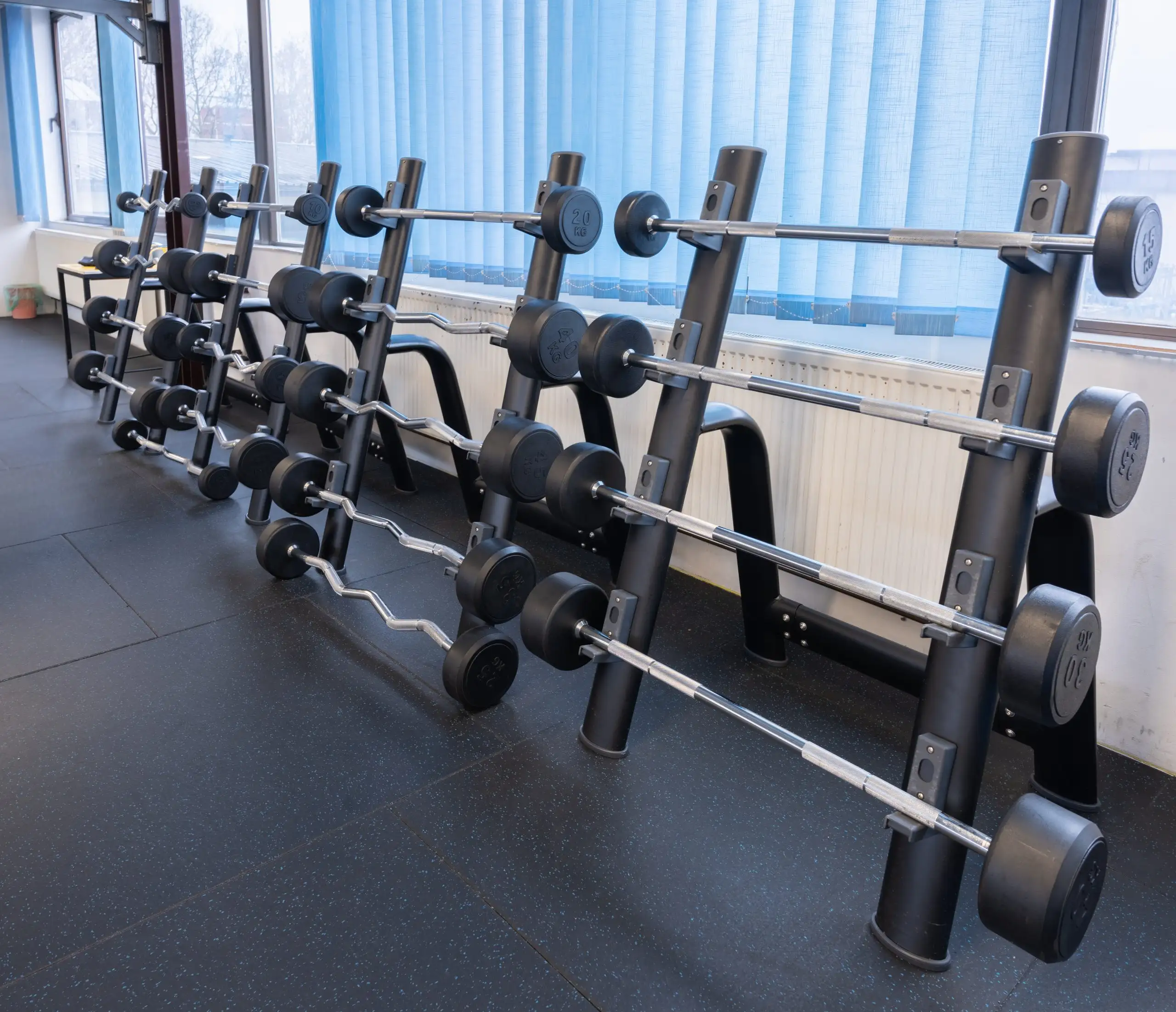 Profesionalne sprave za bodybuilding u Dubravi