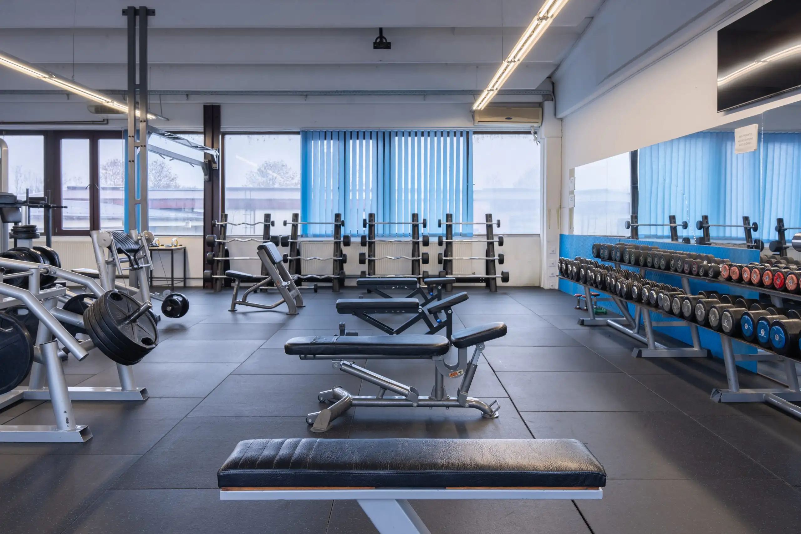 Viva Fitness teretana za početnike i profesionalce